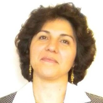 Afsaneh Manshadi